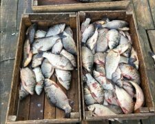 Специалисты Госэкоинспекции задержали нарушителя, наловившего рыбы на десятки тысяч гривен