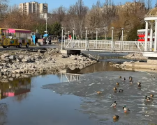 Прогноз погоды с 20 по 29 марта в Запорожье.