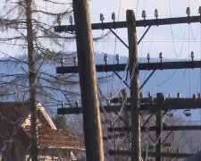 Графіки відключення світла у Дніпропетровській області на 26 лютого