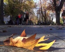 В Одессе  пришел май в середине осени: кадры аномалии