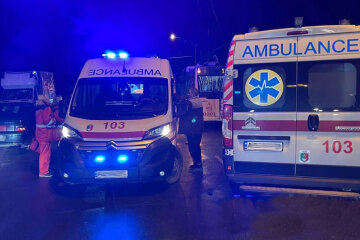 Мікроавтобус збив матір з дитиною у Кривому Розі, кадри трагедії: "водій зник"