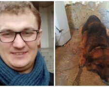 "Пустили тузика з молотка": українці, які заборгували за комуналку, розплачуються собаками, Брагар радіє