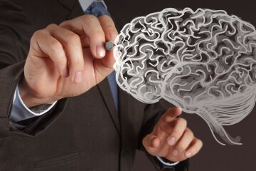 Як насправді працює мозок: 7 цікавих фактів