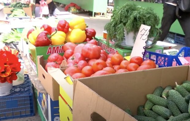 ����: politeka.net