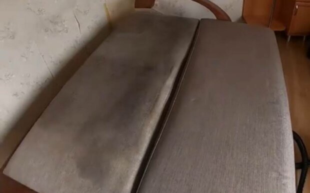 ����: politeka.net