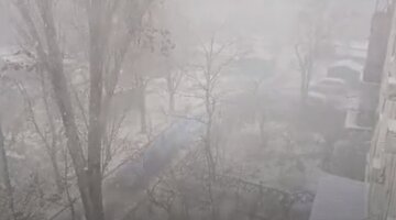 Снегом начало заметать Одессу, кадры: остановлено движение и падают деревья