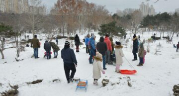 Під час морозу в парку Одеси запобігли трагедії: лежав на лавці без сил, кадри