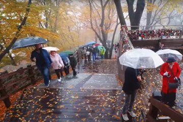 осень, люди, погода