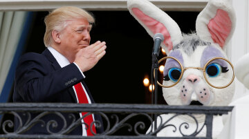 трамп и пасхальный кролик