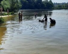 Пытался спасти друга в озере: трагедия произошла с ребенком на глазах у матери