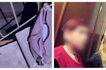 В забытой в подъезде сумке обнаружили огромные деньги, кадры: "думали, что взрывчатка"