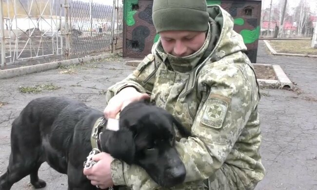 пограничники