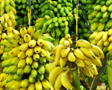 бананы фрукты