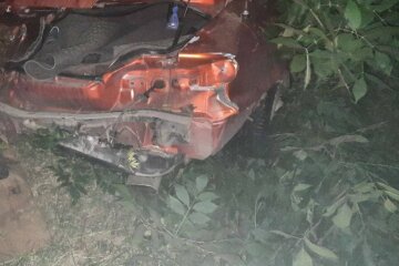Авто зацепило женщину и девочку: в Харькове машина слетела в кювет, кадры