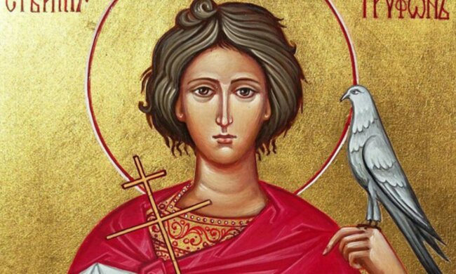 День святого Трифона: главные обычаи, что можно делать и чего лучше избегать 28 декабря