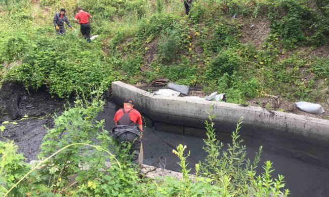 У Києві озеро забруднили небезпечною речовиною: працюють рятувальники, відео