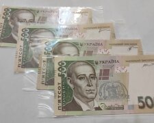 Денежная помощь для ВПЛ в Полтавской области