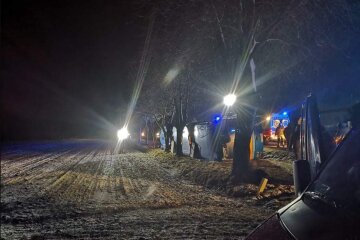 Автобус з українцями перекинувся, кадри: "25 пасажирів і двоє водіїв..."