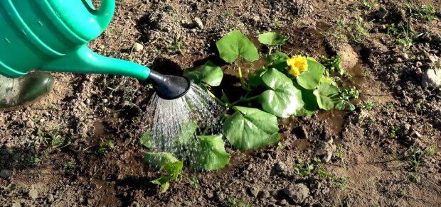 ����: politeka.net