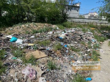 В Одессе стихийная свалка дошла до окон домов, фото: "Горы гниющих отходов"