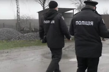 полиция, полицейские