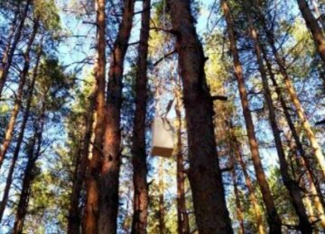 В Луганській області на місці масштабних лісових пожеж знайдено засоби і знаряддя підпалу