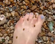 Полчища комах захопили українські пляжі слідом за медузами та блохами: кадри навали