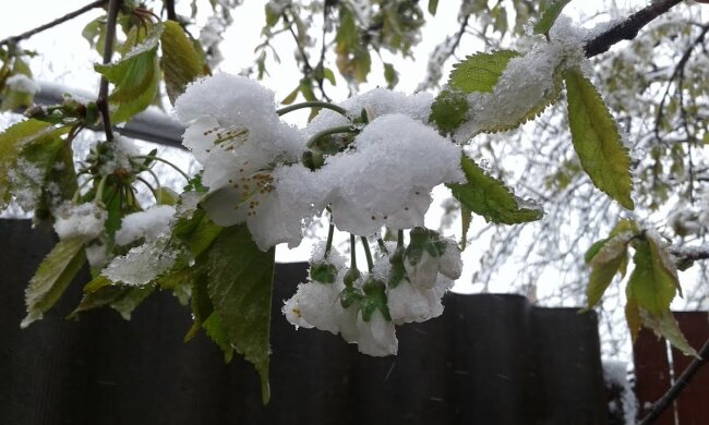 Весенний снег