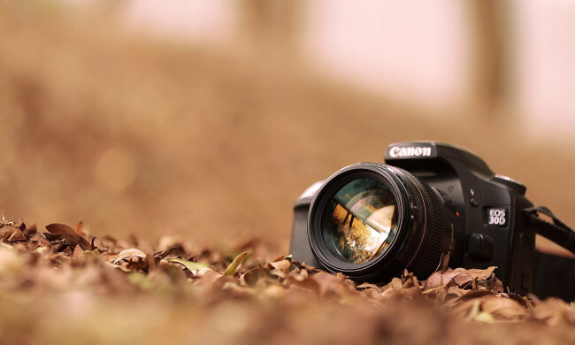 фотограф фотография