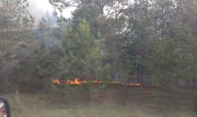600 при нормі 20: спливли нові подробиці про пожежу в Чорнобильському лісі