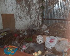 Трьох дітей залишили одних у квартирі без їжі: що творилося всередині