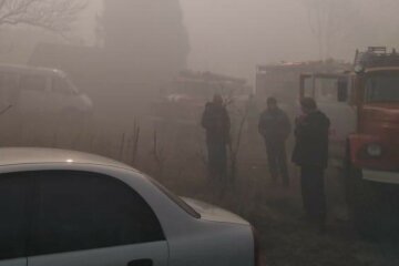 Масштабна пожежа знищила гектари лісу в Чорнобилі, задіяна авіація: кадри наслідків