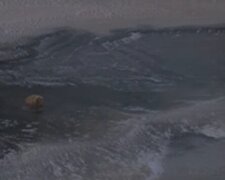 В Одесі дитина провалилася під лід, відео НП: "Хотіла погодувати качок"
