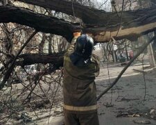 Ураган разрушил дом в Одессе, под завалами  женщина: кадры ЧП