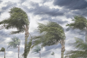 тропический шторм