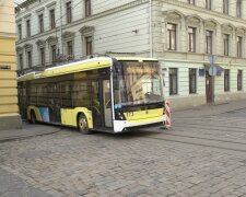 Новий графік руху транспорту у Львівській області