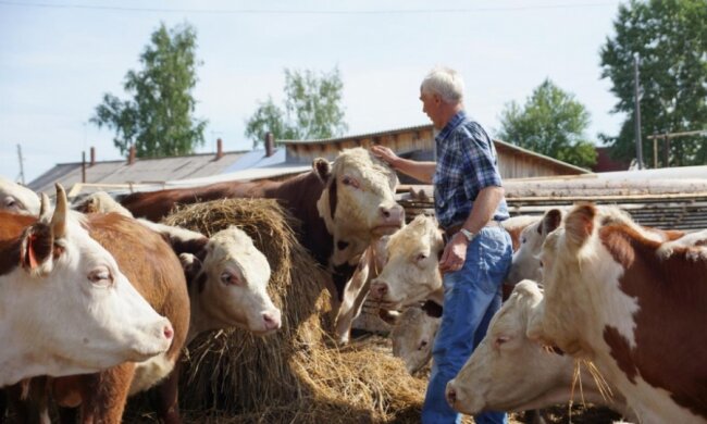 0dcb61b587daf6903830a00cc2e16f87_L