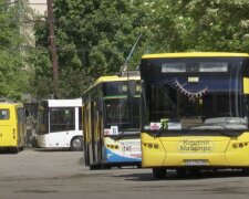 Новый график транспорта в Тернополе