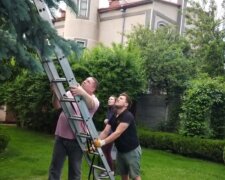 Просидел на дереве неделю: в Харькове спасатели бросились на помощь домашнему зверю, фото