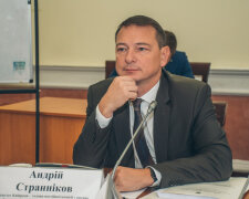 Андрей Странников