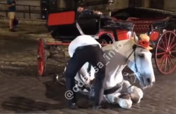 В Одессе уставшая лошадь упала посреди улицы, хозяину хотели устроить самосуд: видео скандала