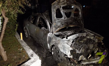 Начальнице налоговой дотла спалили машину (фото)