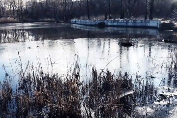 В Киеве знаменитое озеро превратилось в лужу отходов: пугающие кадры