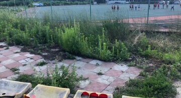 "Немов у нетрях": в мережі показали, на що перетворився стадіон у Харкові, фото