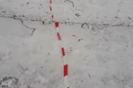 48429251_2208974729420763_4970235617783840768_n