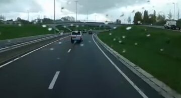 Фиксация автонарушений на дорогах Нидерландов