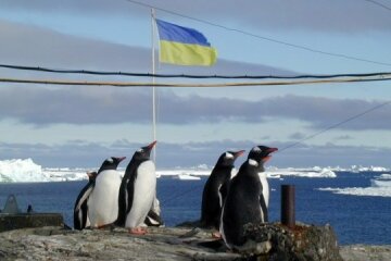 Українські полярники зворушили новорічним привітанням: “Привіт з Антарктиди”, відео