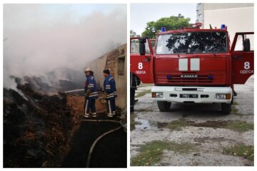Мощный пожар на Одесчине, спасатели сделали всё возможное: "вместе со складом сгорел..."