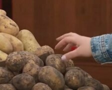 Ціни на картоплю сягають 100 гривень за кг: українців здивувала вартість популярного овоча