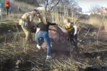 Прыгнули в ледяную воду: 55-летняя харьковчанка "оказалась в плену" сточных вод, кадры ЧП